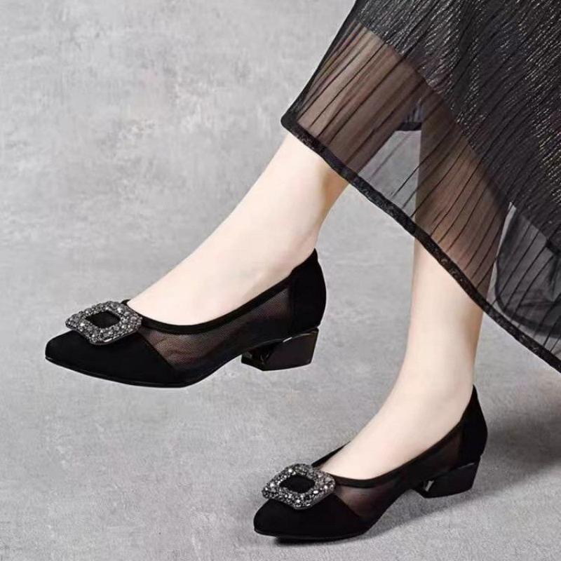 Women Shoes Heels - Elegant Pointed Toe Mesh Block Heel